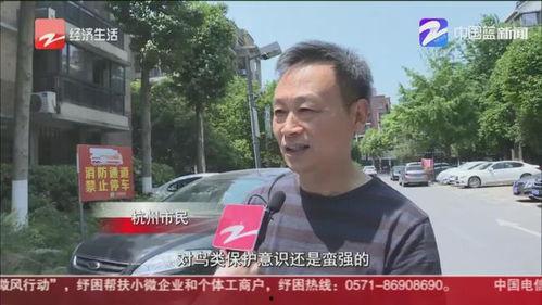 四川红哥爆料最新消息新闻,揭秘四川某重大新闻事件内幕  第3张